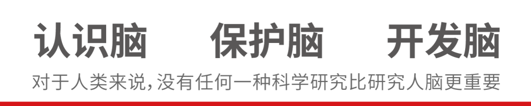 認(rèn)識(shí)腦，保護(hù)腦，開發(fā)腦
